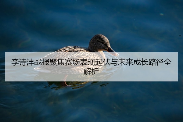李诗沣战报聚焦赛场表现起伏与未来成长路径全解析