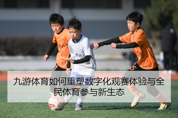 九游体育如何重塑数字化观赛体验与全民体育参与新生态